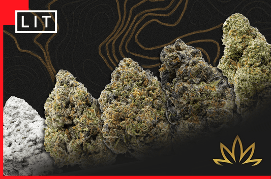 GOLD SPECTRUM THCA ALTERNATIVES: COMPARED ON PRICE, LAB PROOF AND FRESHNESS - Lost In Translation
