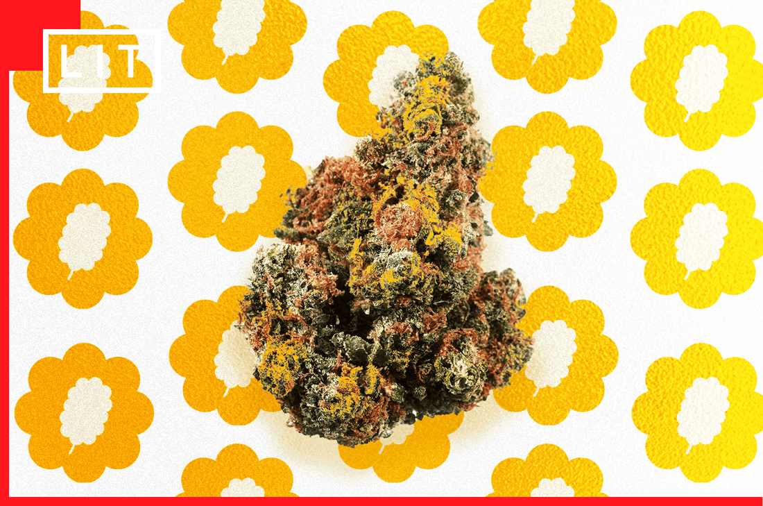 PUFFY THCA ALTERNATIVES: FLOWER YOU CAN CHECK AGAINST THE LAB REPORT - Lost In Translation