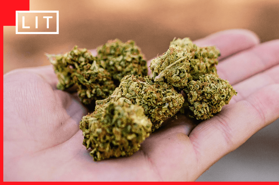 THCA SMALL BUDS ALTERNATIVES: CHEAPER SMALLS, COMPARED PER GRAM - Lost In Translation