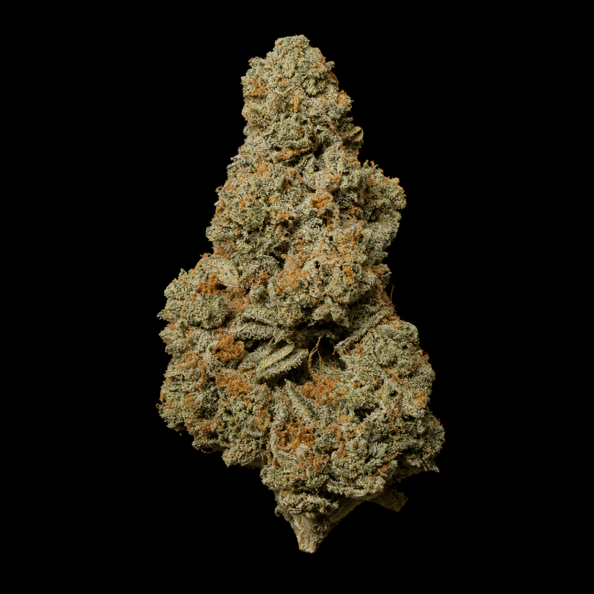 Blue Zushi THCA Flower - Lost In Translation