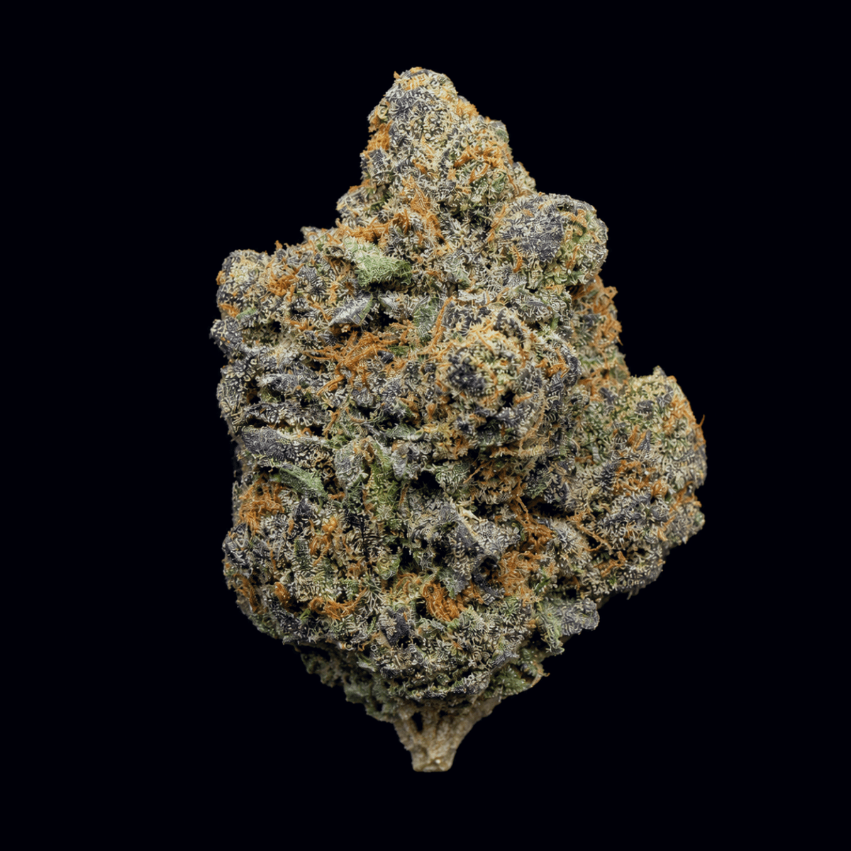 Lemon Cherry Beltz THCA Flower - Lost In Translation