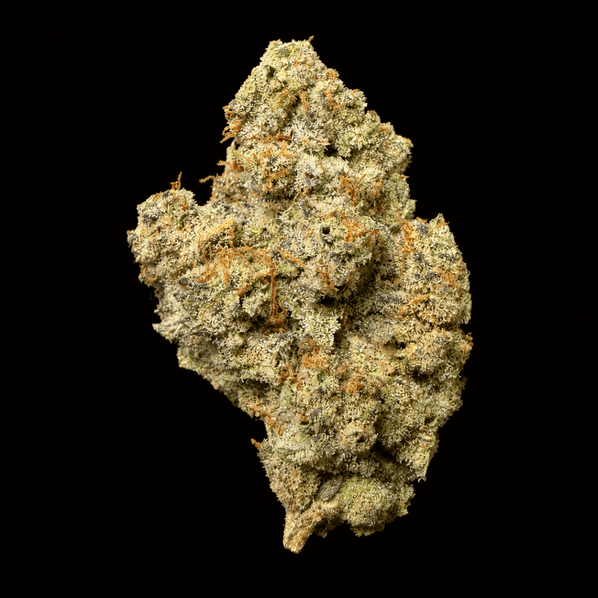 Pink Panties THCA Flower - Lost In Translation