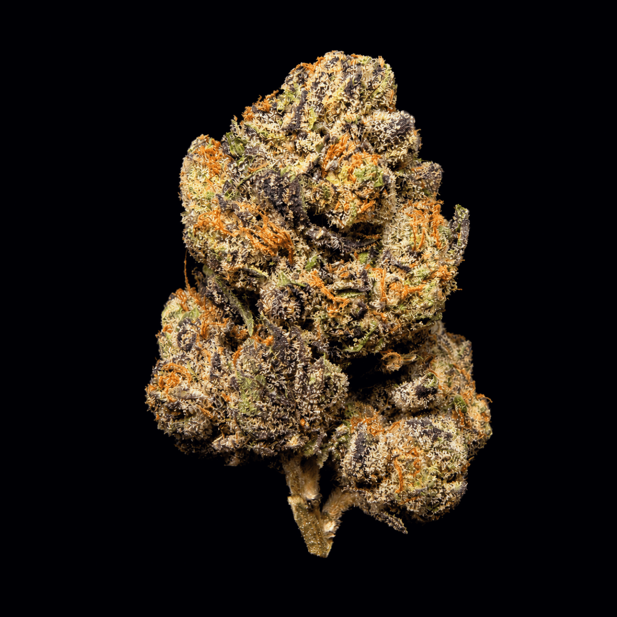 Super Runtz THCA Flower - Lost In Translation