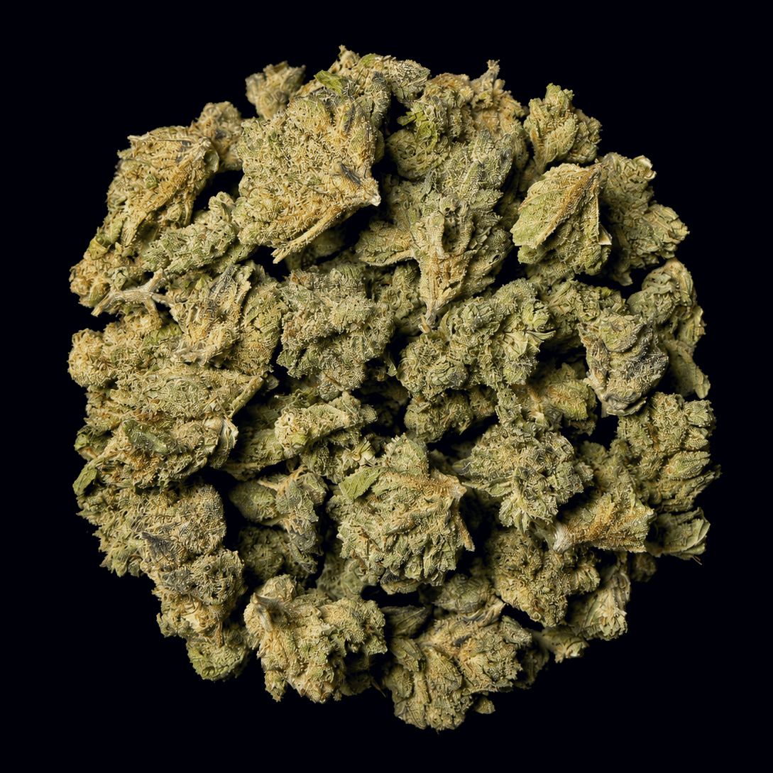 Frozen Runtz THCA Flower - Lost In Translation