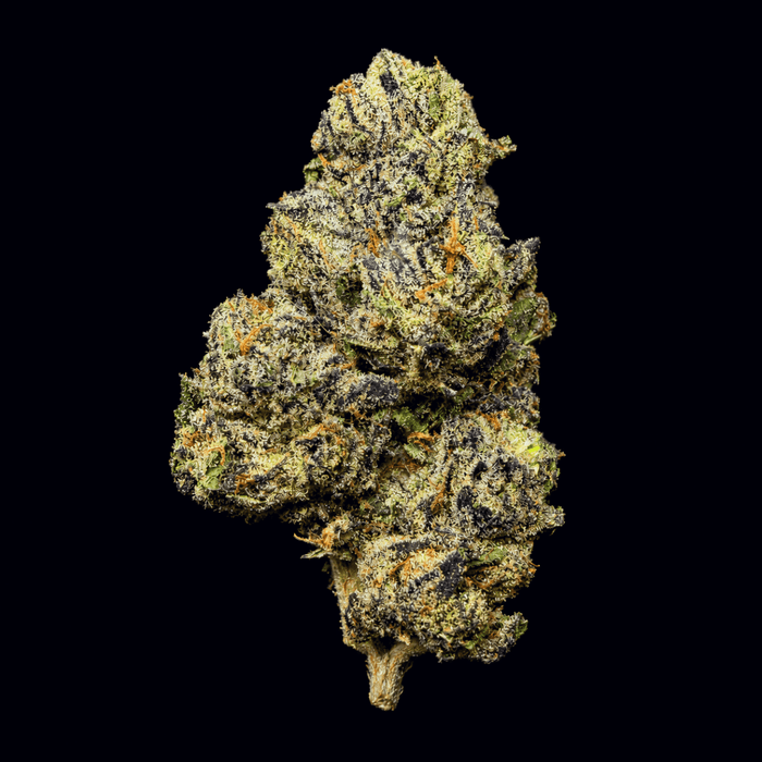 Applescotti THCA Flower - Lost In Translation