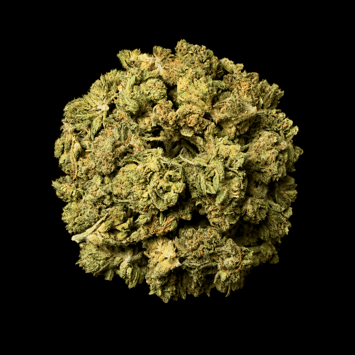 Night Moon THCA Flower - Lost In Translation
