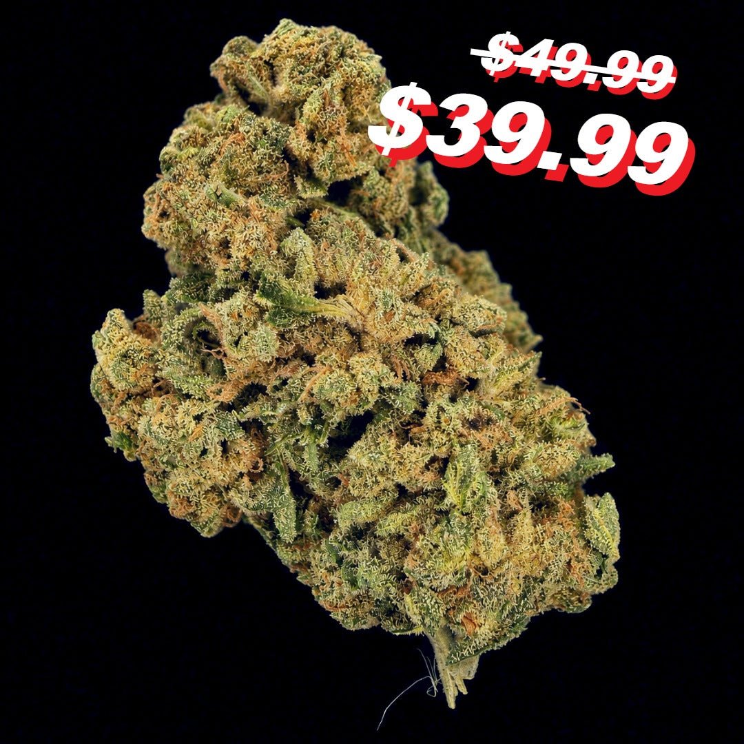 Petrol Pie THCA Flower - Lost In Translation