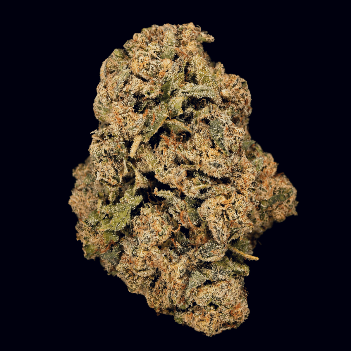 Lemon Diesel THCA Flower - Lost In Translation
