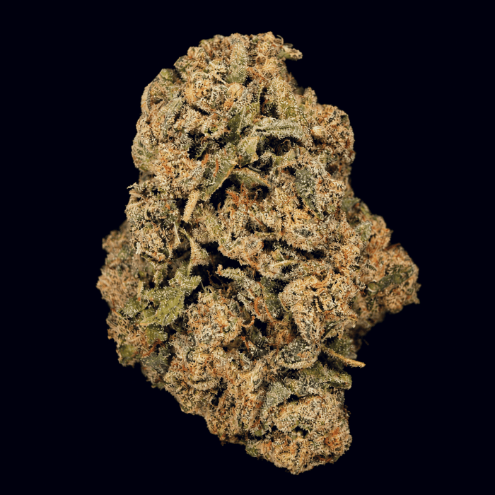 Lemon Diesel THCA Flower - Lost In Translation