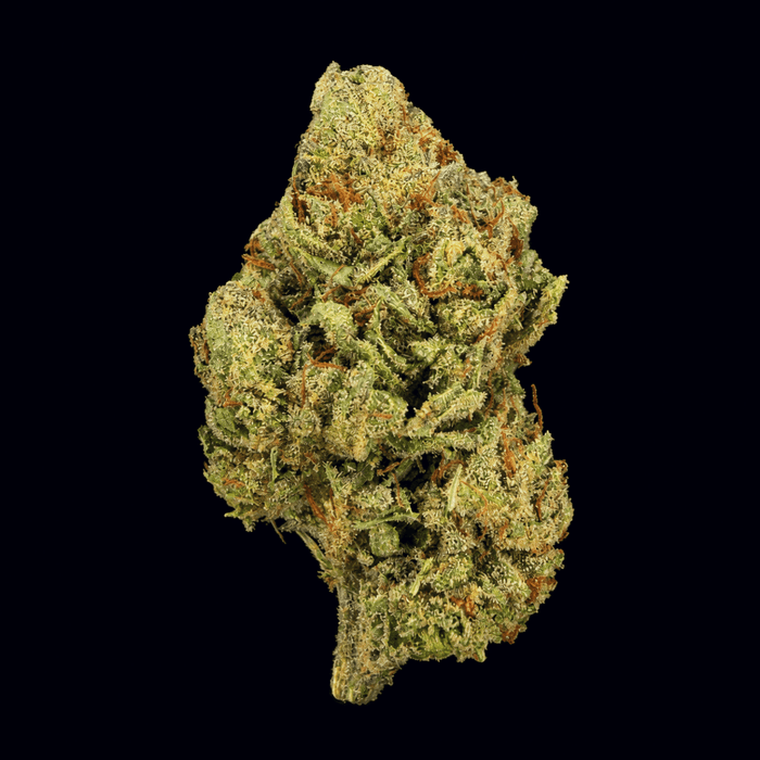 Hashburger THCA Flower - Lost In Translation
