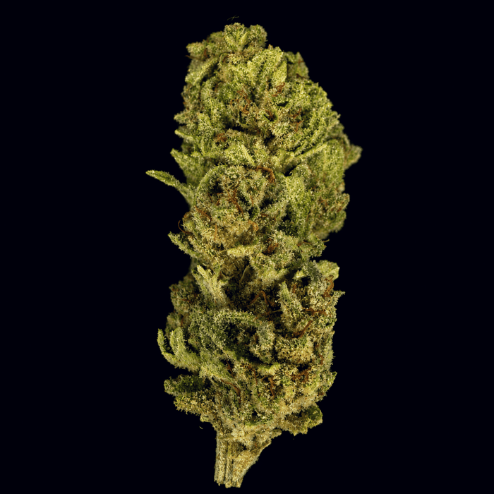 Super Chronic THCA Flower - Lost In Translation