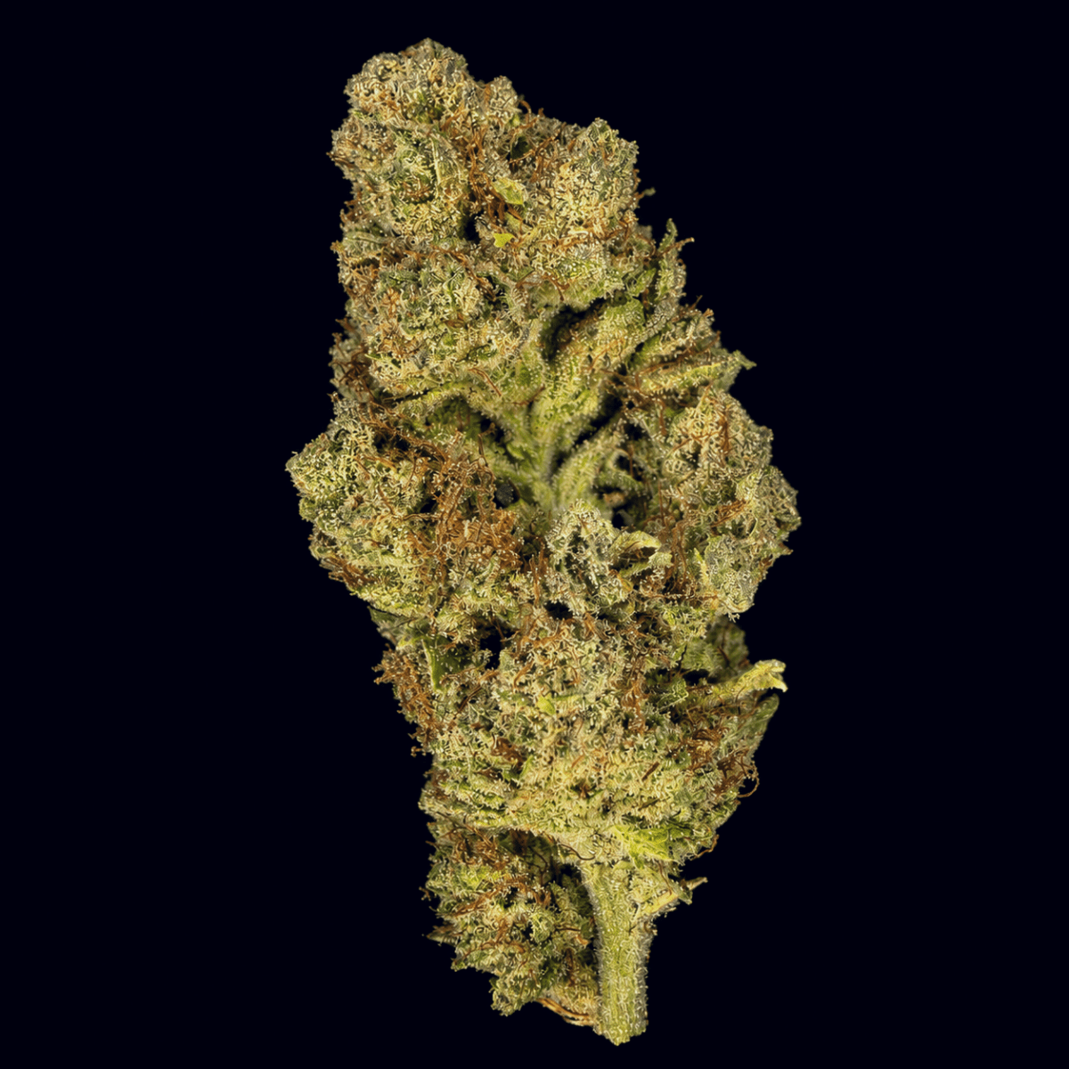 Richboy Runtz THCA Flower - Lost In Translation