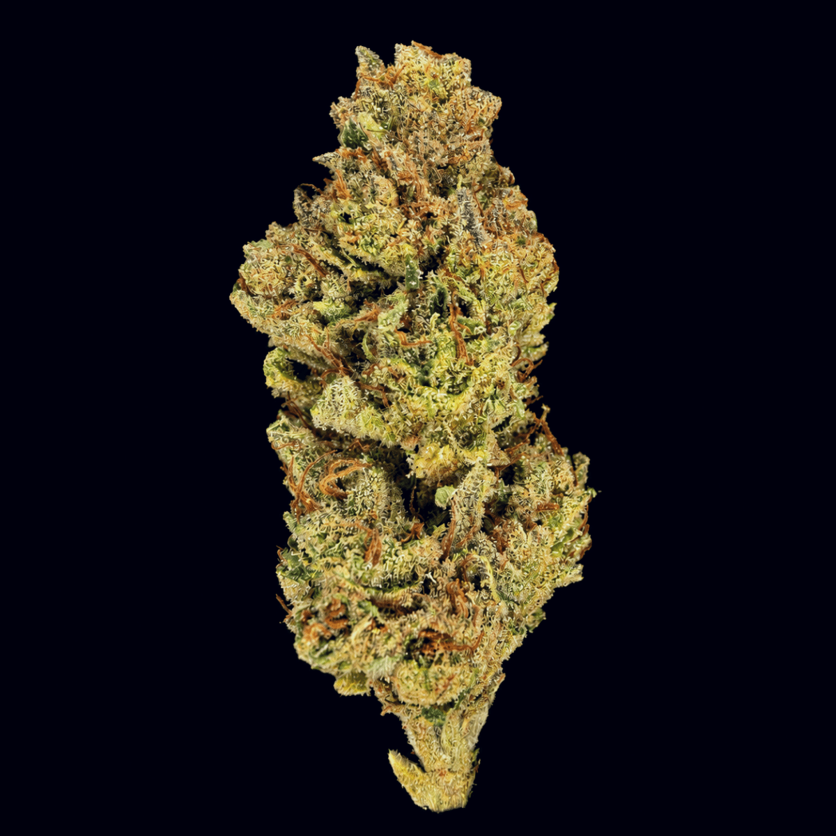 SFV OG THCA Flower - Lost In Translation