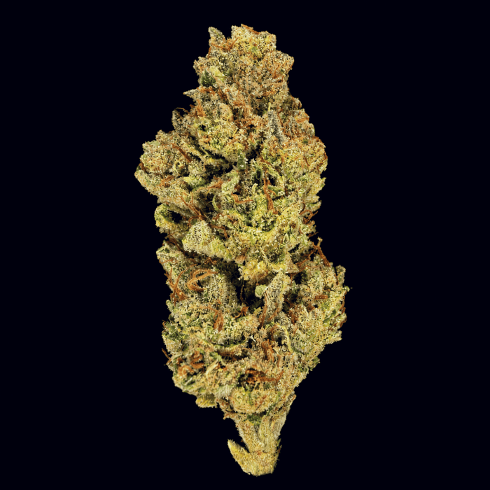 SFV OG THCA Flower - Lost In Translation