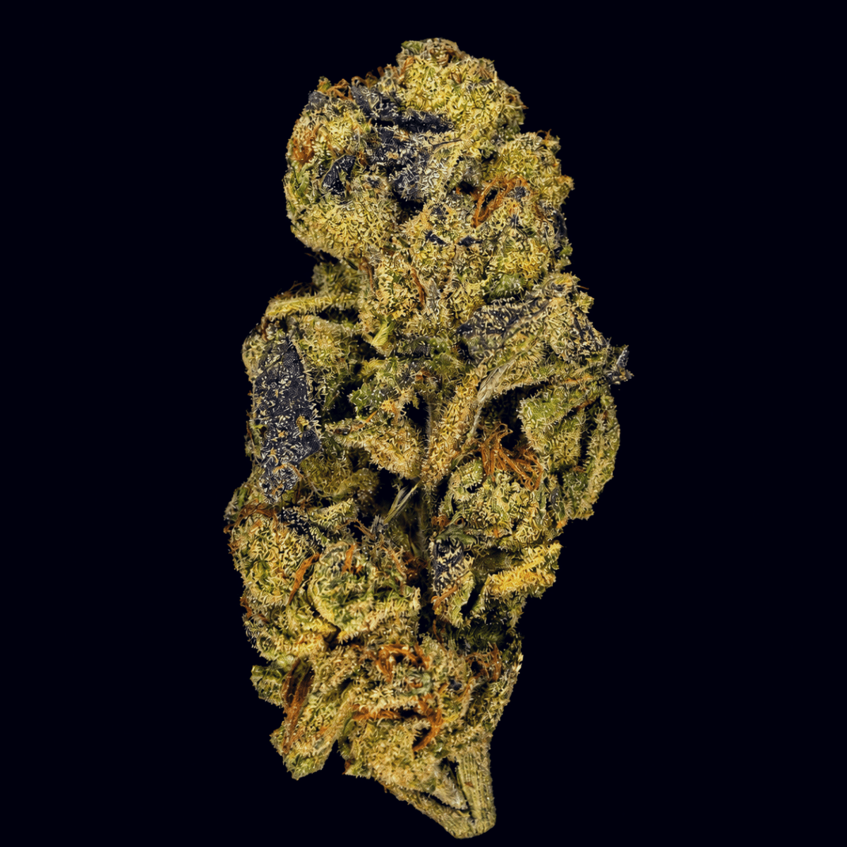 Jacobs Breath THCA Flower - Lost In Translation