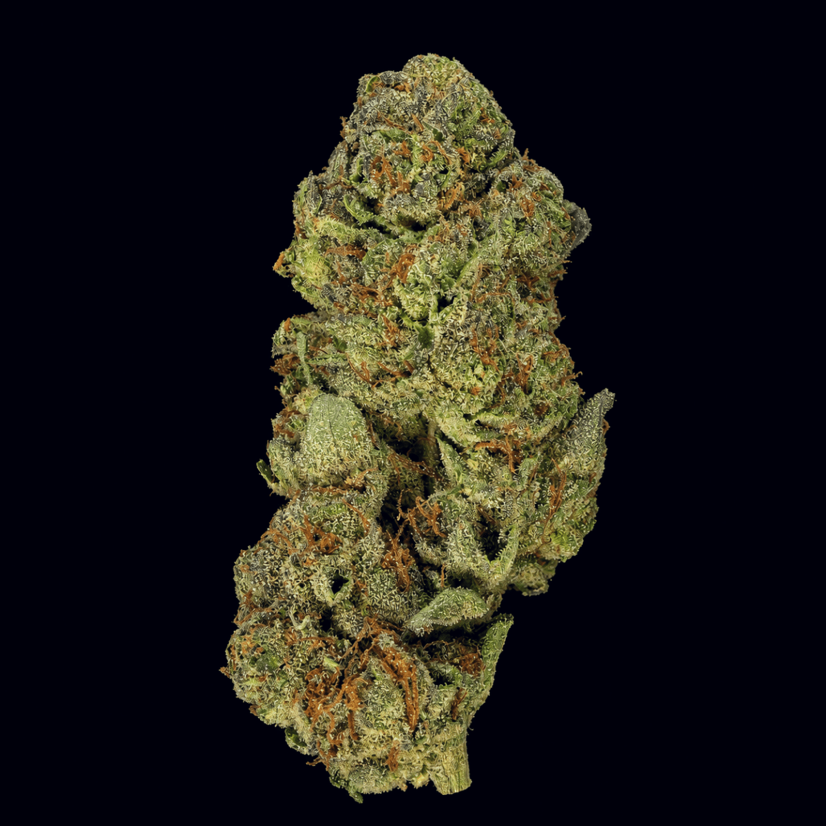 Gush Mintz THCA Flower - Lost In Translation