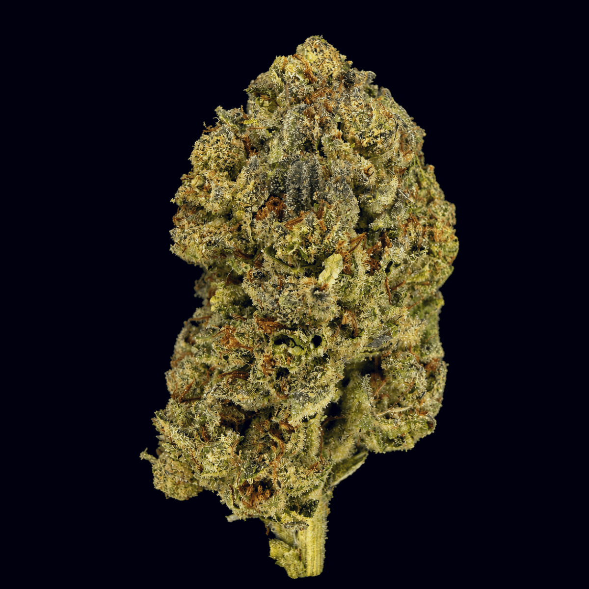 LA Kush Cake THCA Flower - Lost In Translation