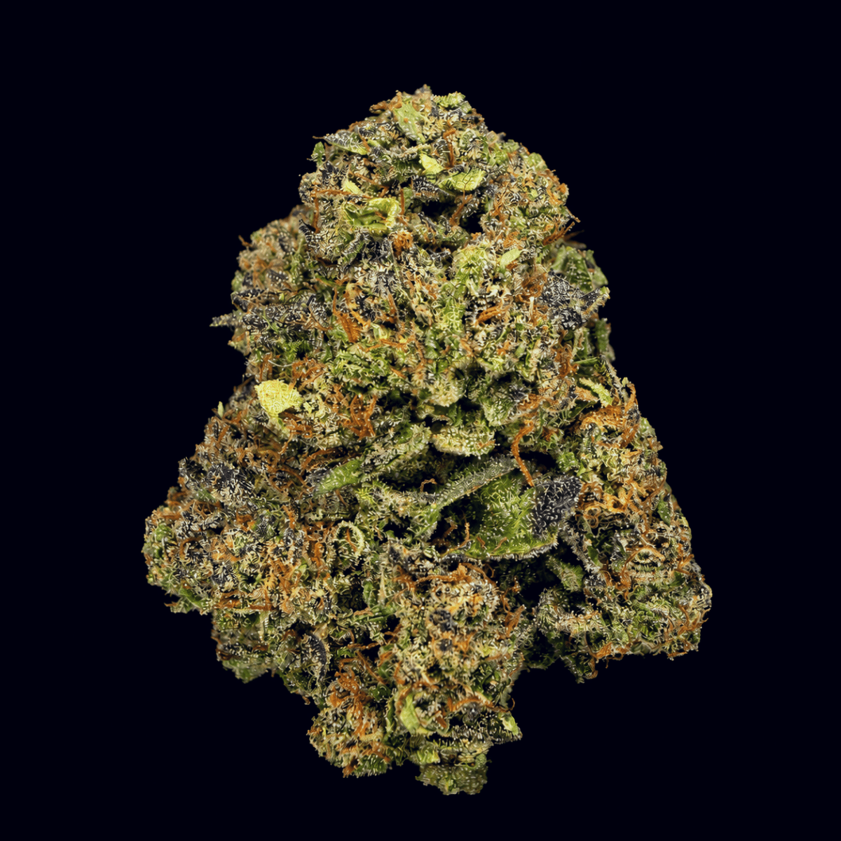 Lemon Gas THCA Flower - Lost In Translation