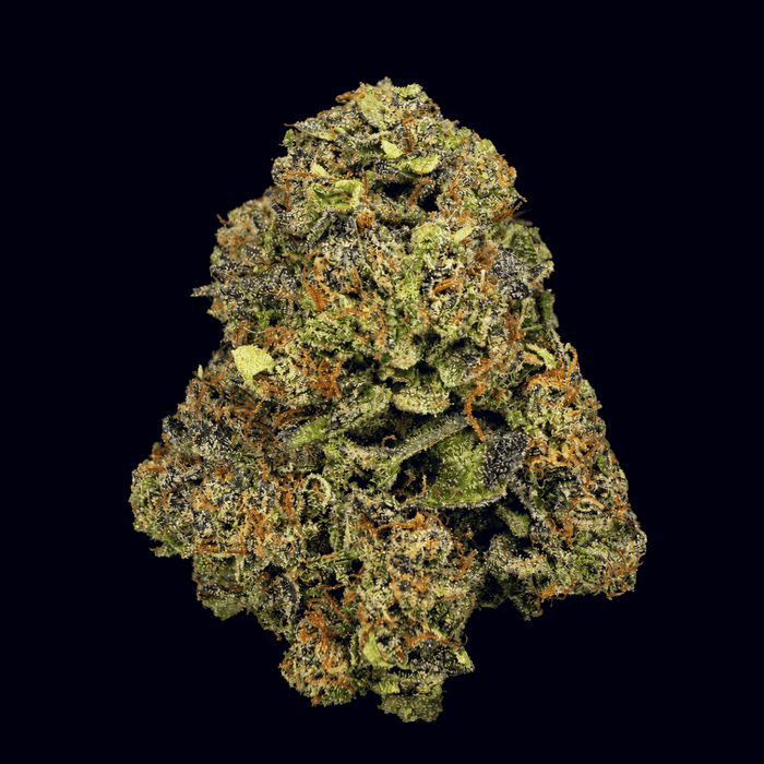 Lemon Gas THCA Flower - Lost In Translation