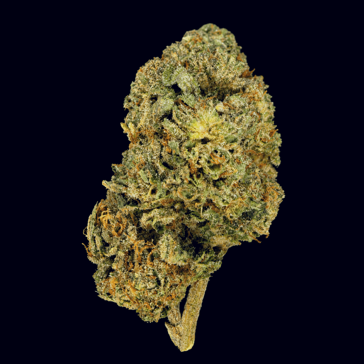 Garlic Sauce THCA Flower - Lost In Translation