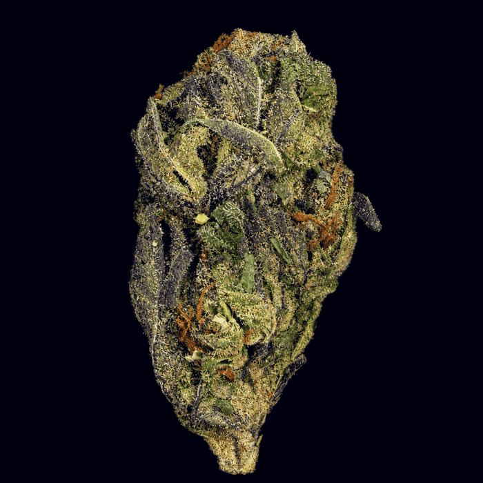 Ice Cream Cake THCA Flower - Lost In Translation