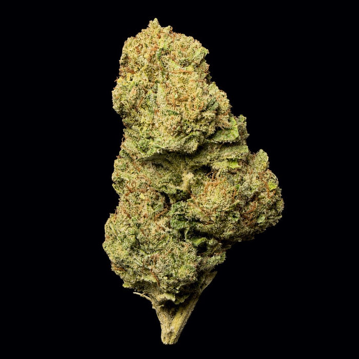 Gas Leak THCA Flower - Lost In Translation