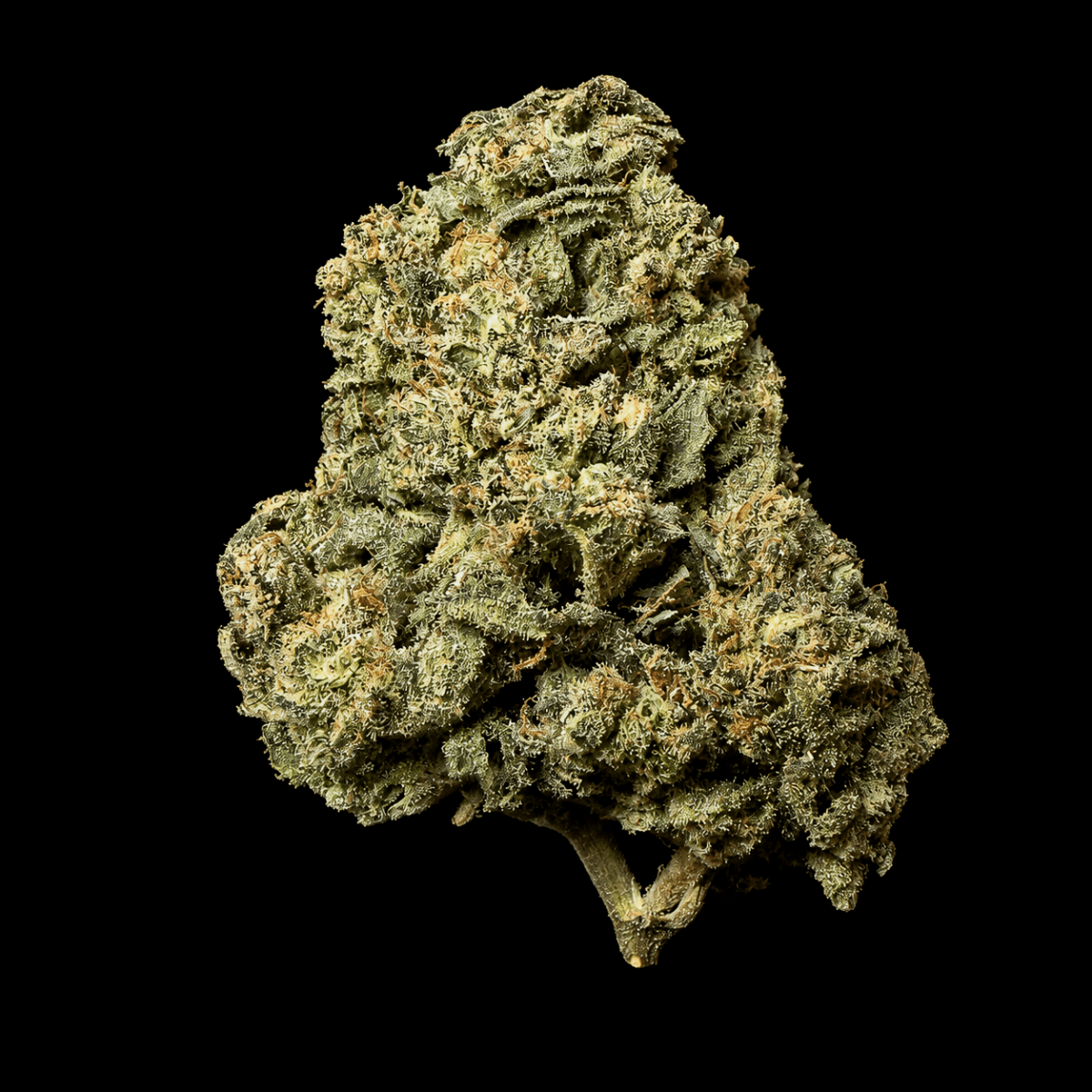 Lemon Diesel THCA Flower - Lost In Translation