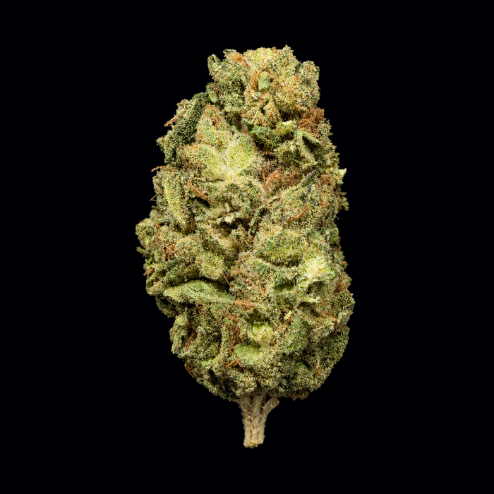 Grape Gas THCA Flower