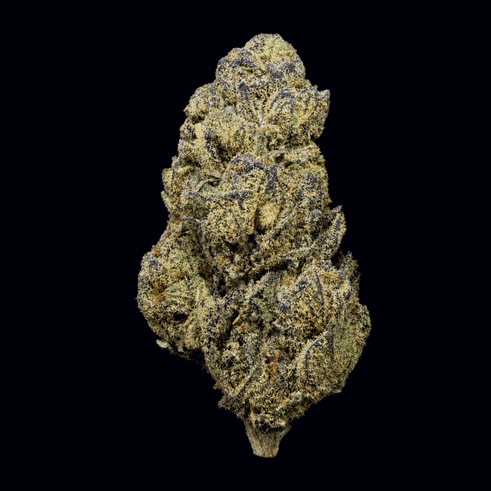Blue Zushi THCA Flower - Lost In Translation