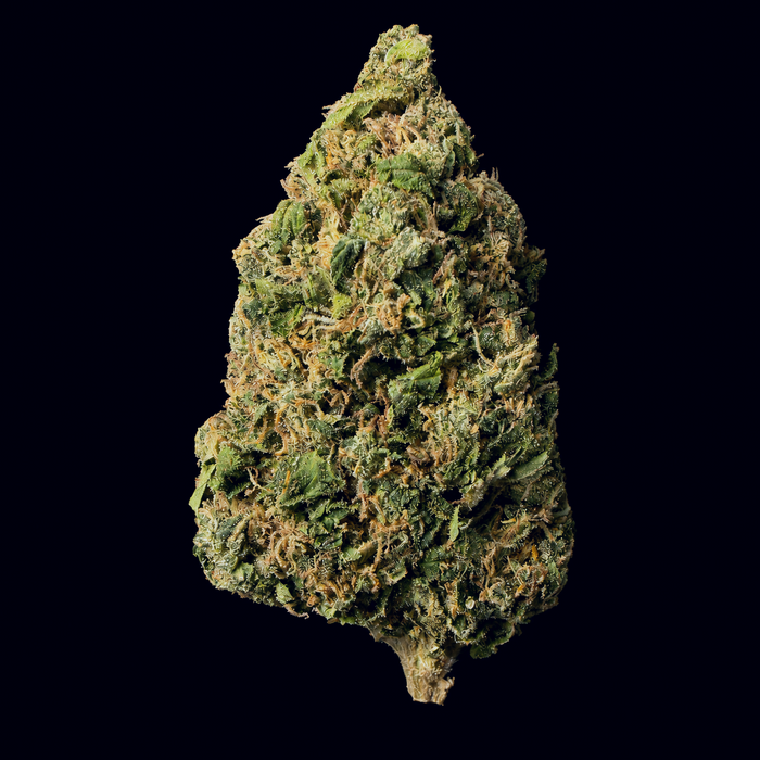 Blue Dream THCA Flower