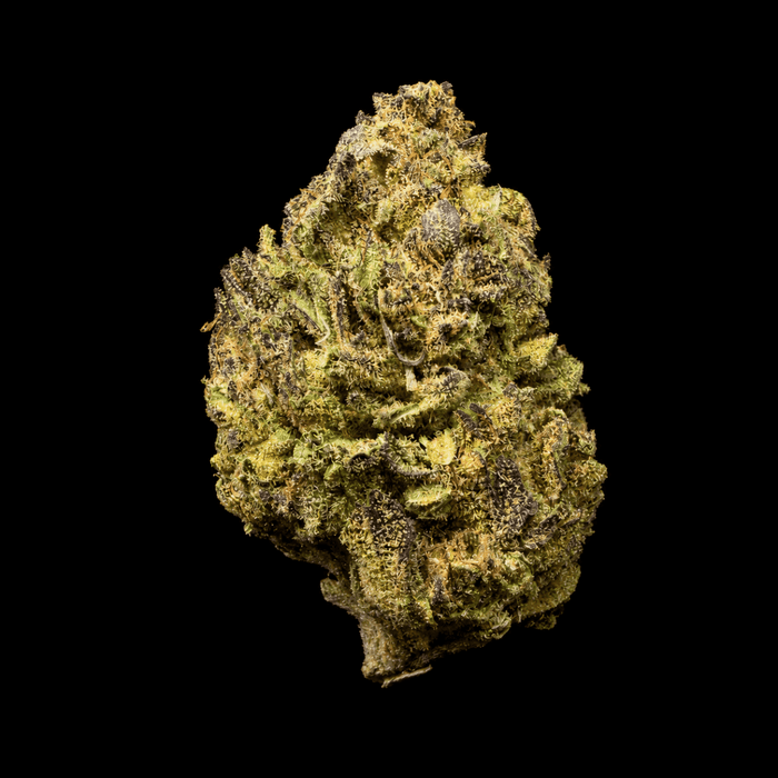 Cookies and Cream THCA Flower - Lost In Translation