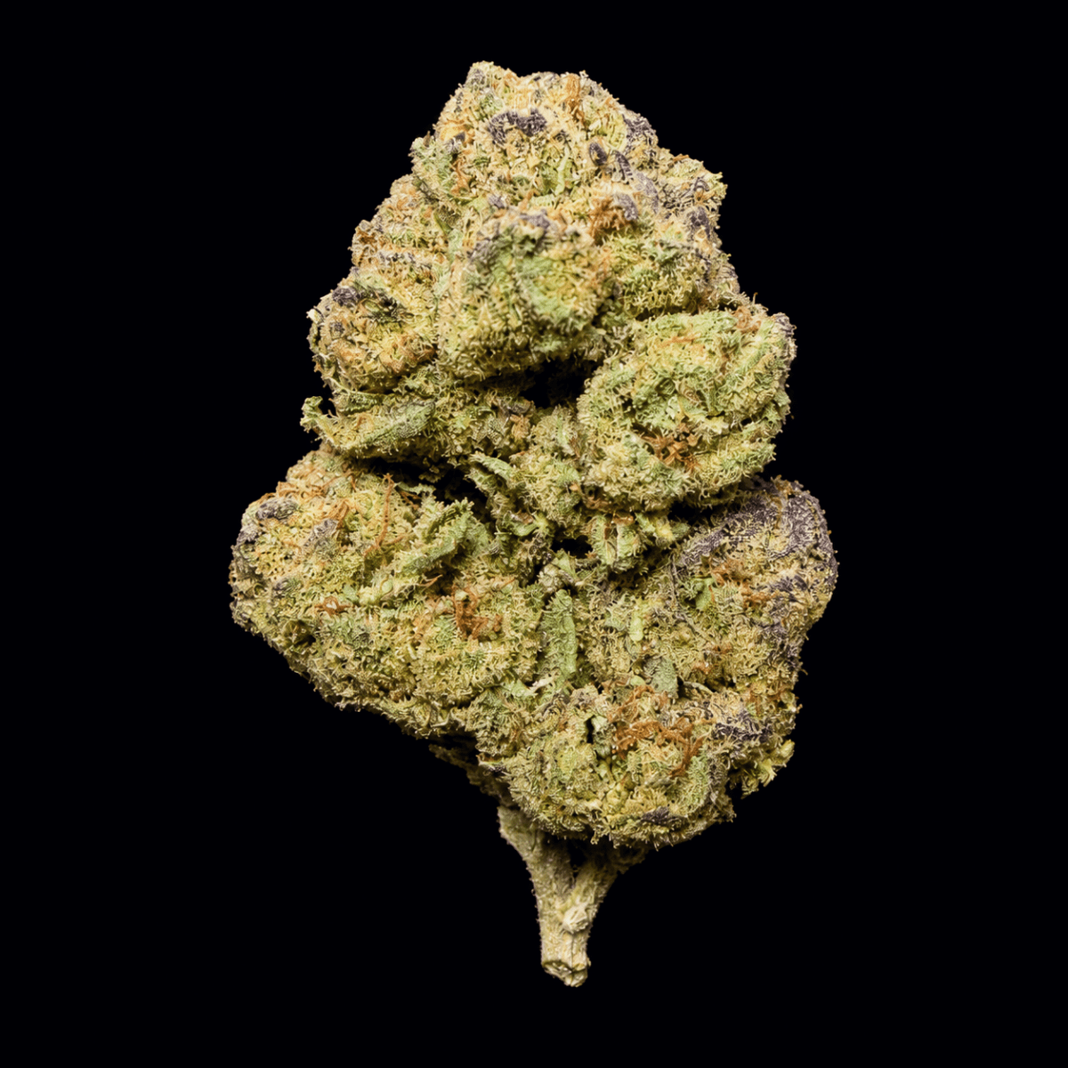 Hood Candy THCA Flower - Lost In Translation