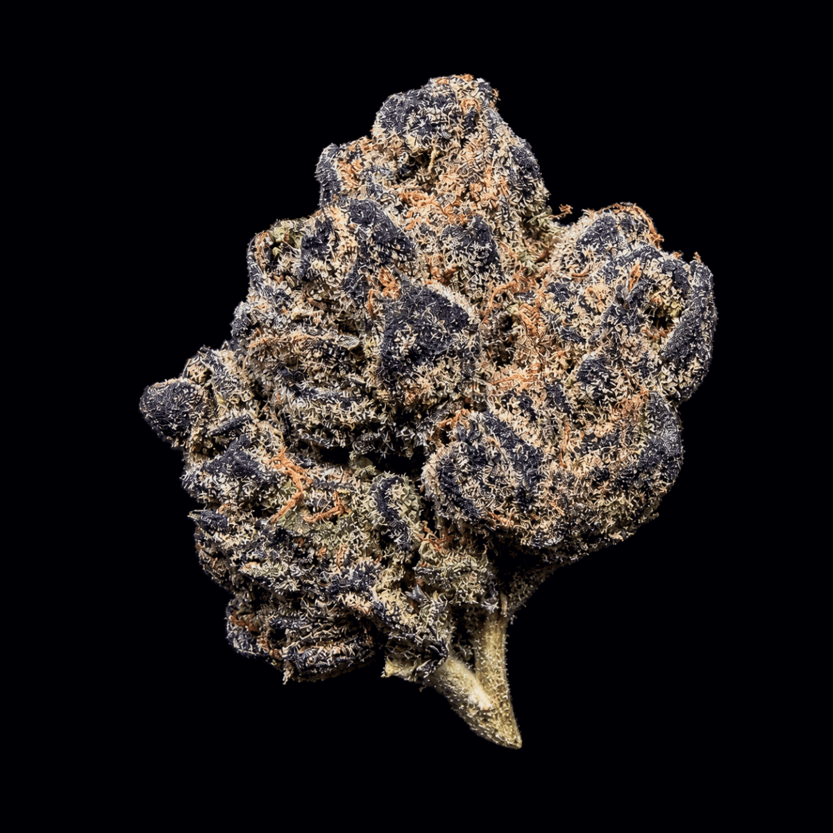 Blue Runtz THCA Flower - Lost In Translation