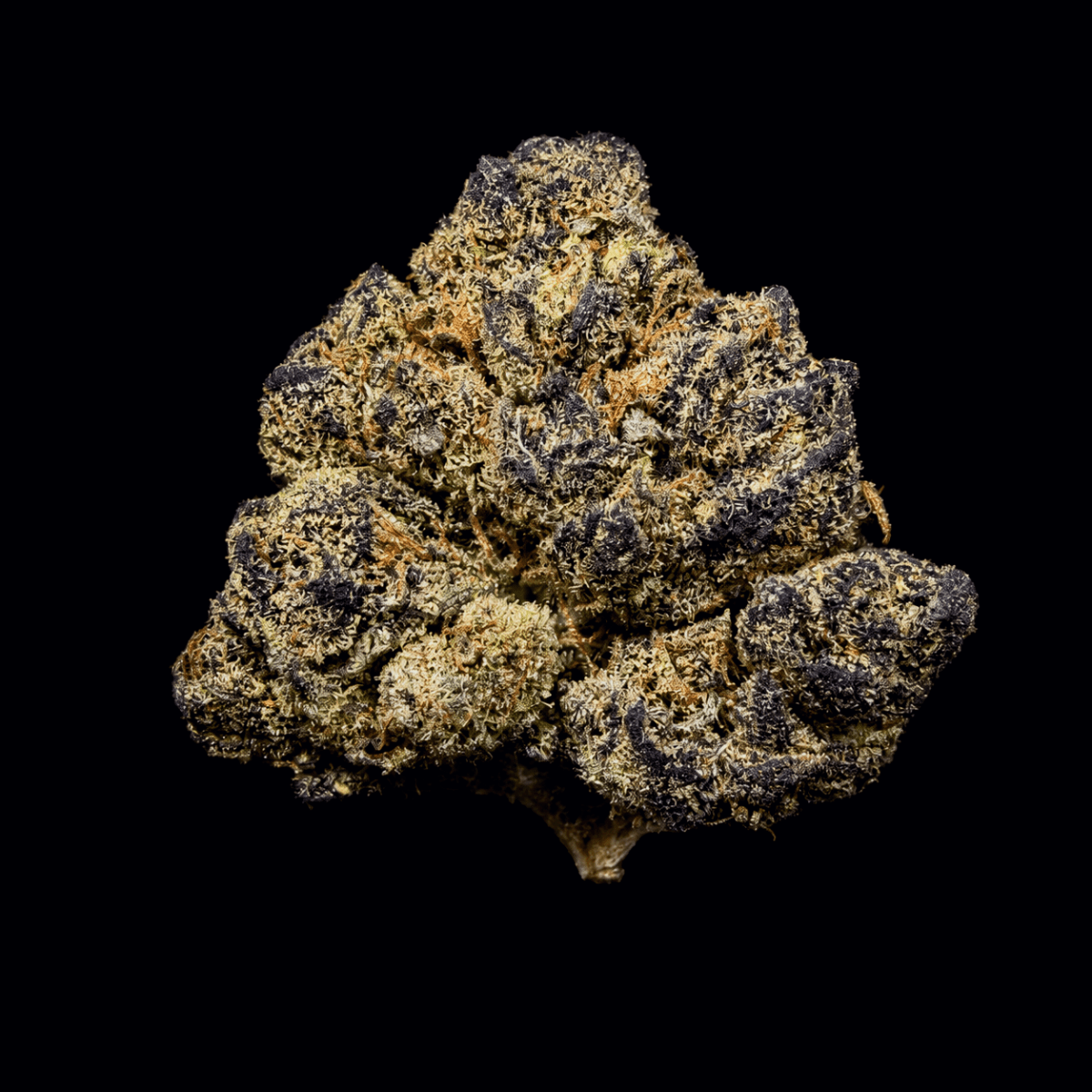 Petrol Pie THCA Flower - Lost In Translation