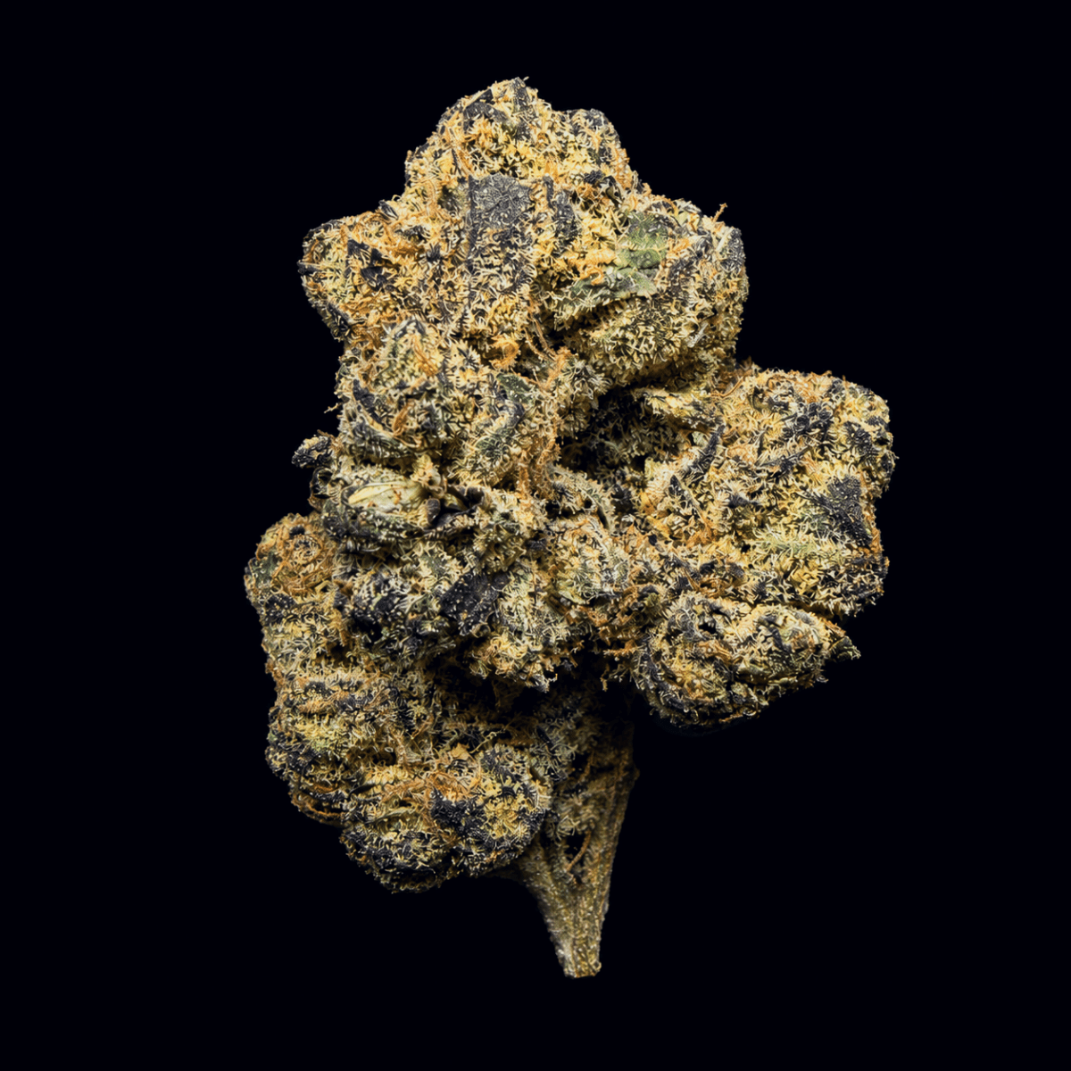 Pluto 85 THCA Flower - Lost In Translation