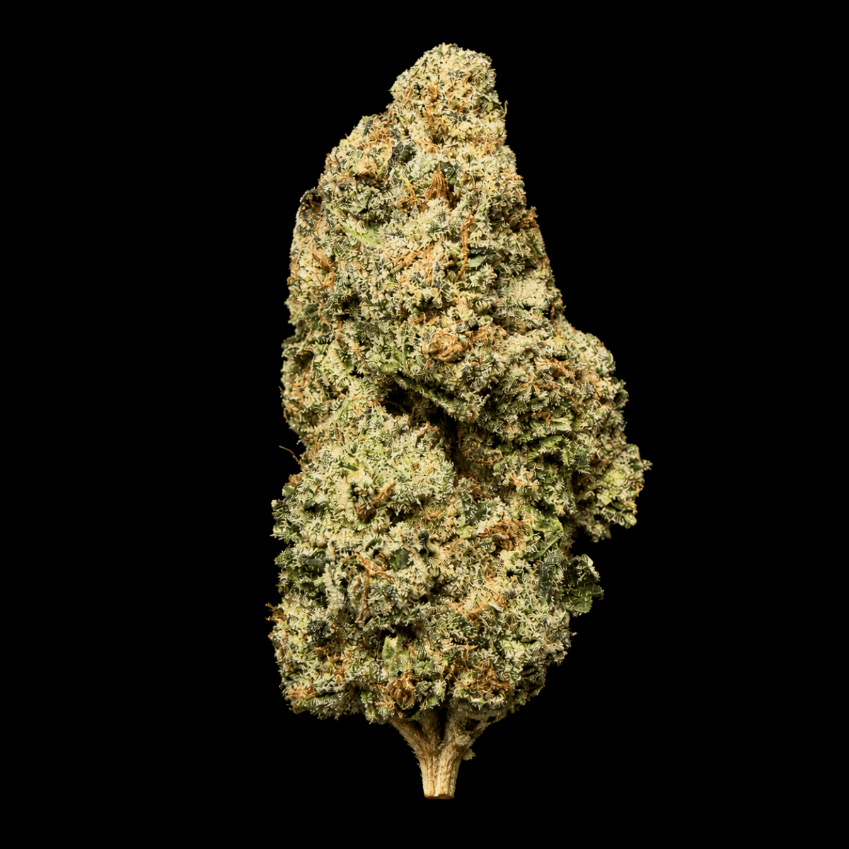 Runtz THCA Flower - Lost In Translation