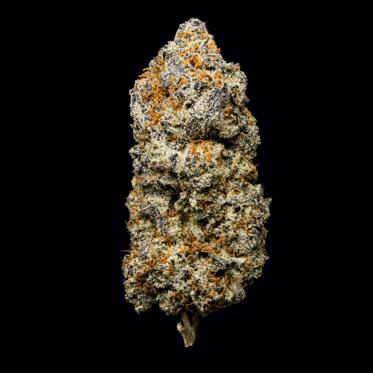 Blue Zushi THCA Flower - Lost In Translation