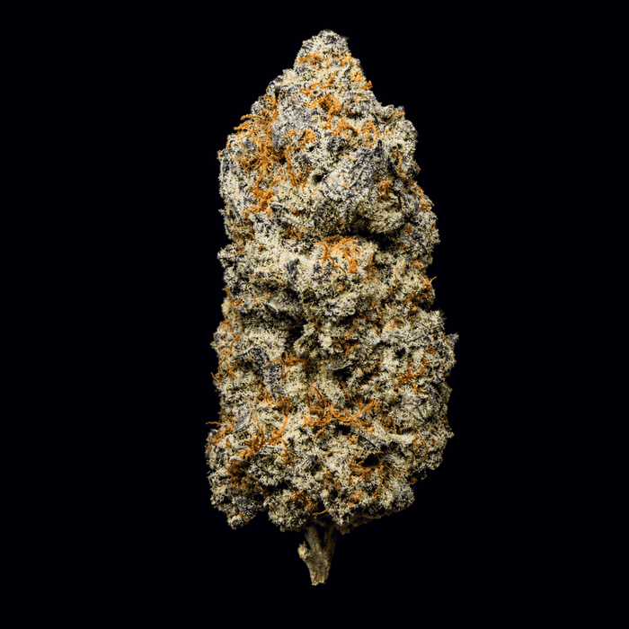Blue Zushi THCA Flower - Lost In Translation