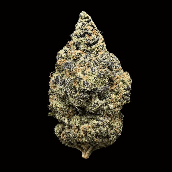 Gelonade THCA Flower - Lost In Translation