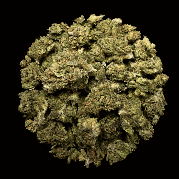 Jelly Cake THCA Flower - Lost In Translation