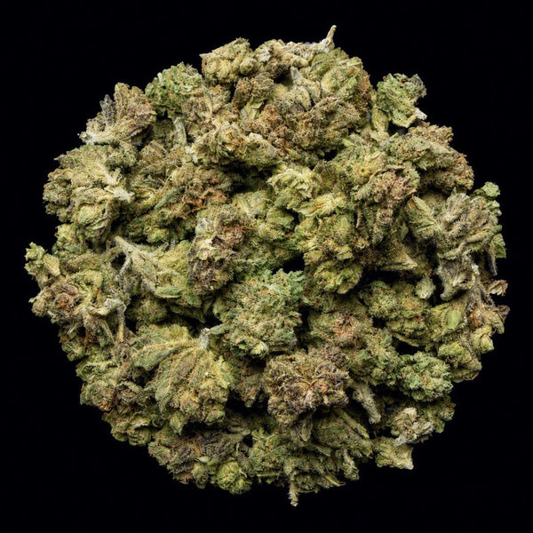 Truffle Butter THCA Flower