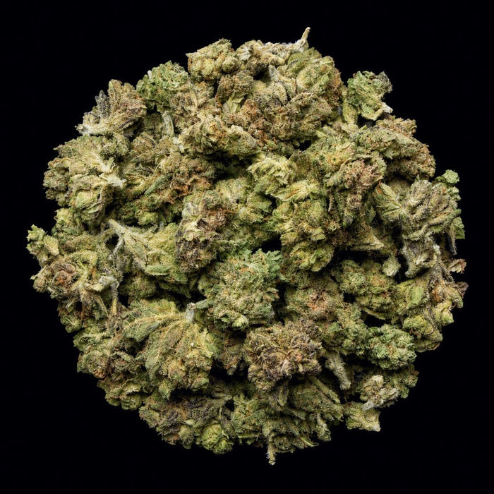 Wedding Cake THCA Flower - Lost In Translation