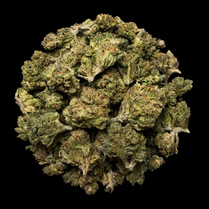 Z-Runtz THCA Flower - Lost In Translation