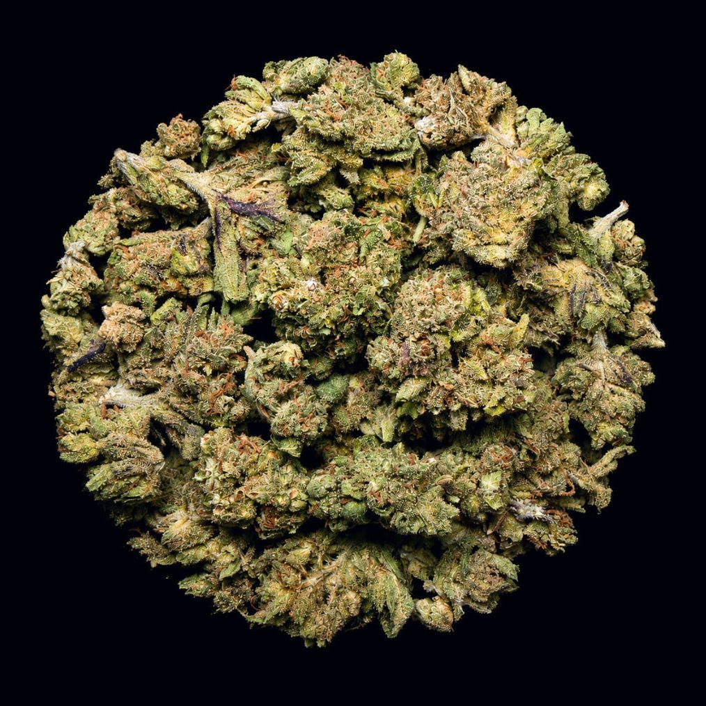 Sour Diesel THCA Flower - Lost In Translation