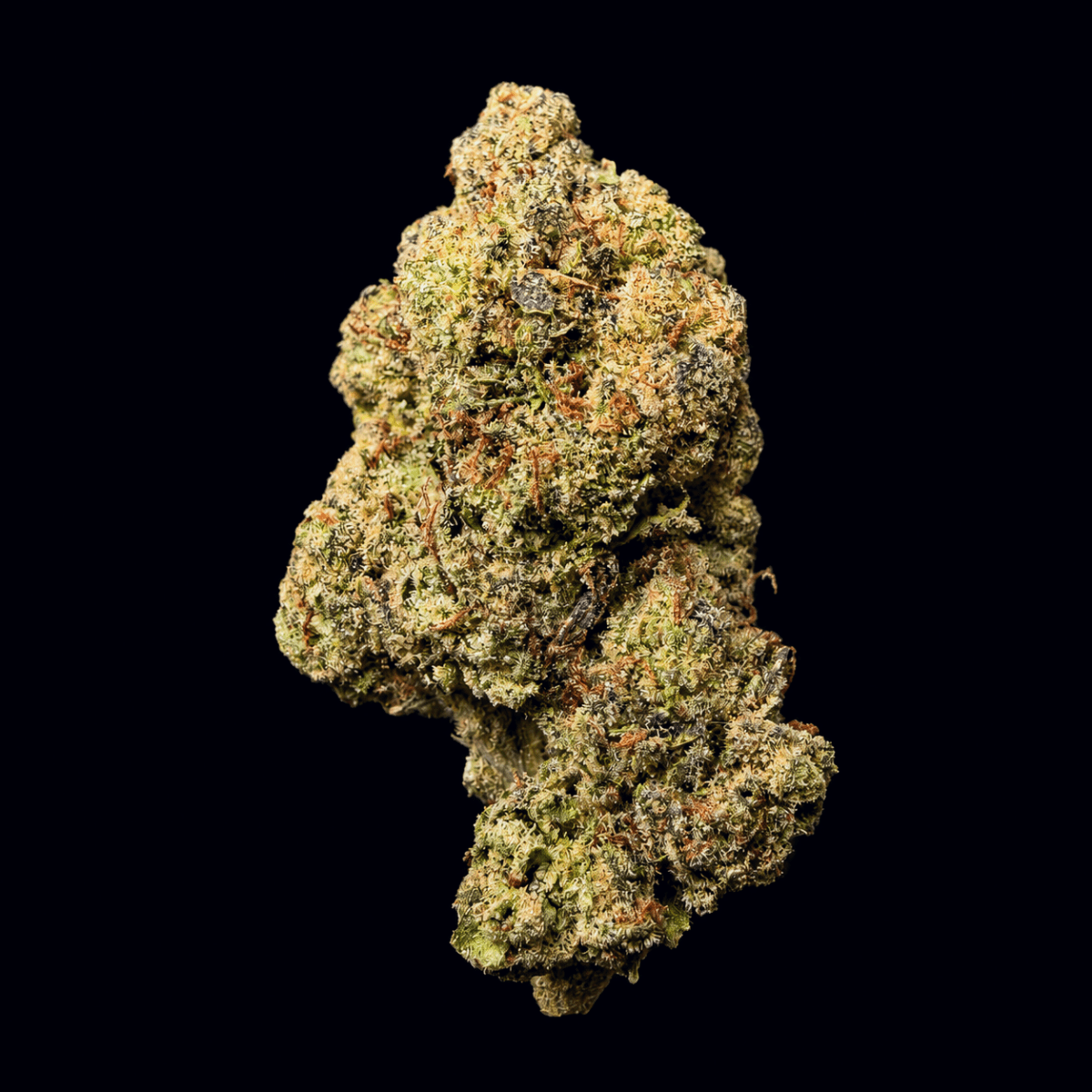 Garlic Sauce THCA Flower - Lost In Translation