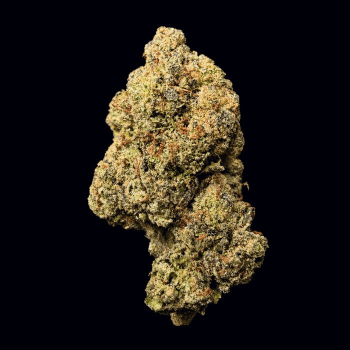 Garlic Sauce THCA Flower - Lost In Translation