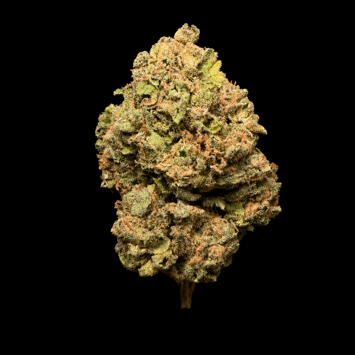 White Lemon THCA Flower - Lost In Translation