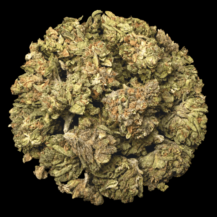 Mendo Breath THCA Flower - Lost In Translation