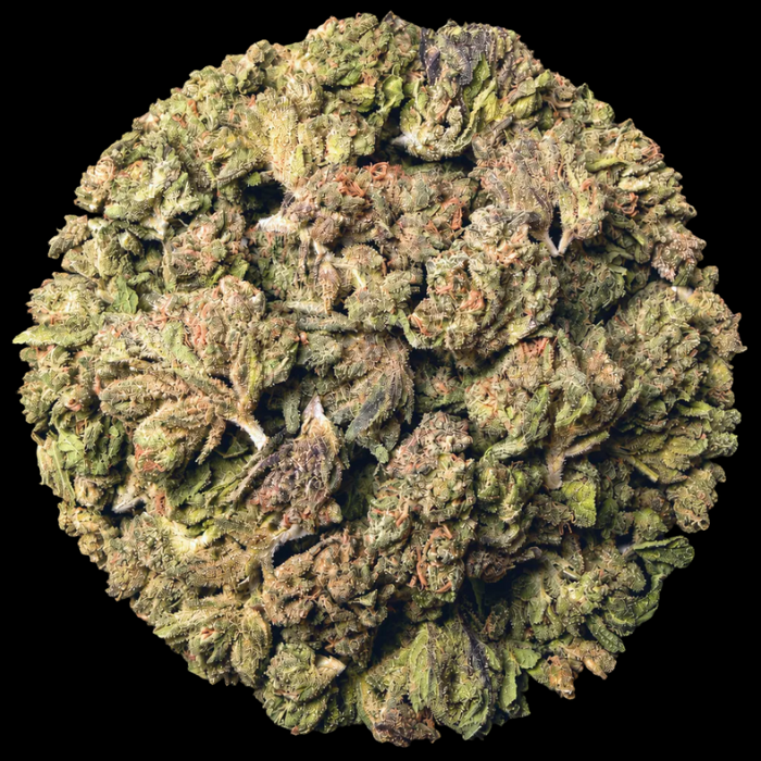 Sherbert THCA Flower