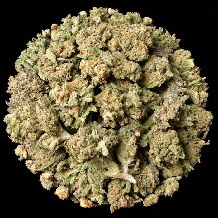 Fire Crotch THCA Flower - Lost In Translation